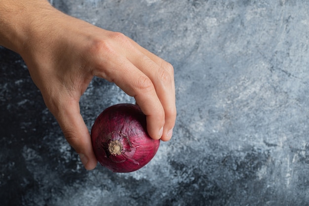 Free photo male hand holding single red onion on marble background