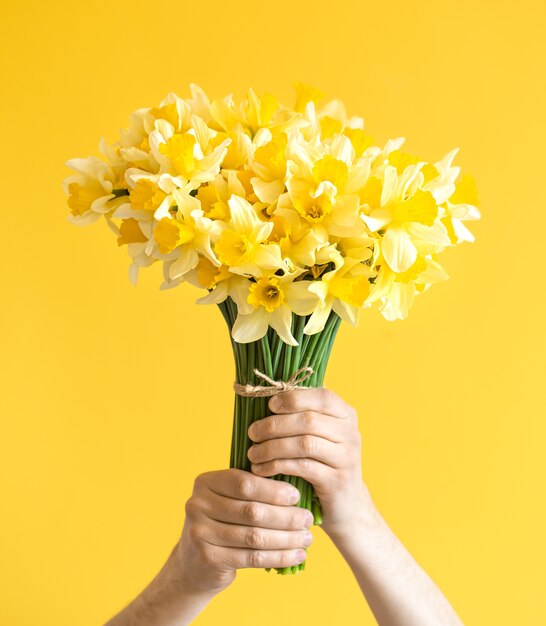 male hands with a bouquet of yellow daffodils. 