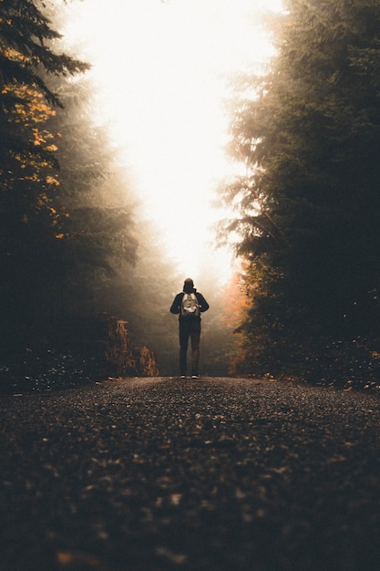 Male with a backpack standing on a path between tall thick trees looking at the light