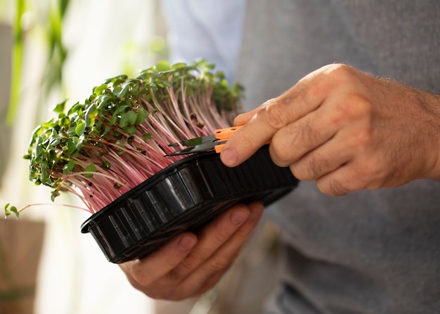 Free Photo man cultivating and farming edible plants indoors