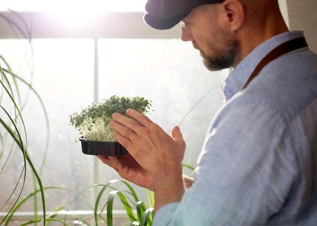 Free photo man cultivating and farming edible plants indoors