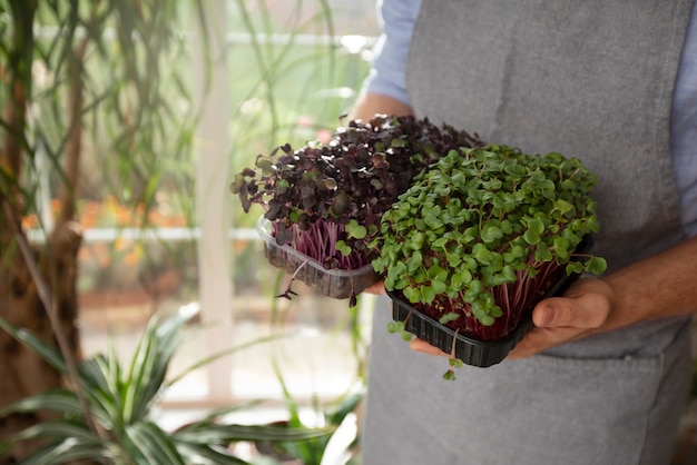 Free photo man cultivating and farming edible plants indoors