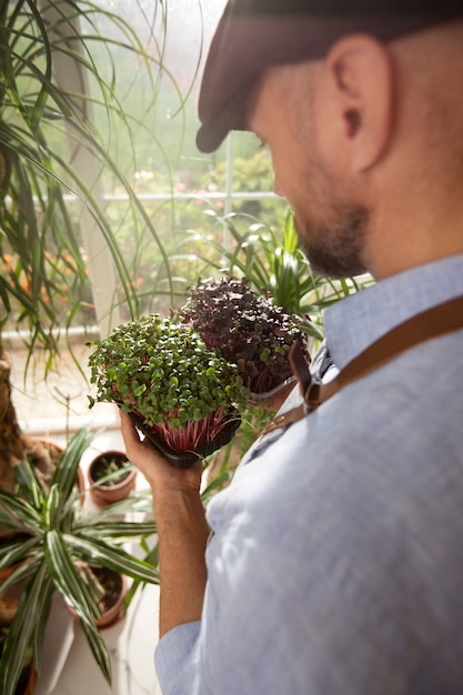 Free photo man cultivating and farming edible plants indoors