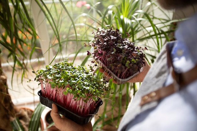 Free photo man cultivating and farming edible plants indoors