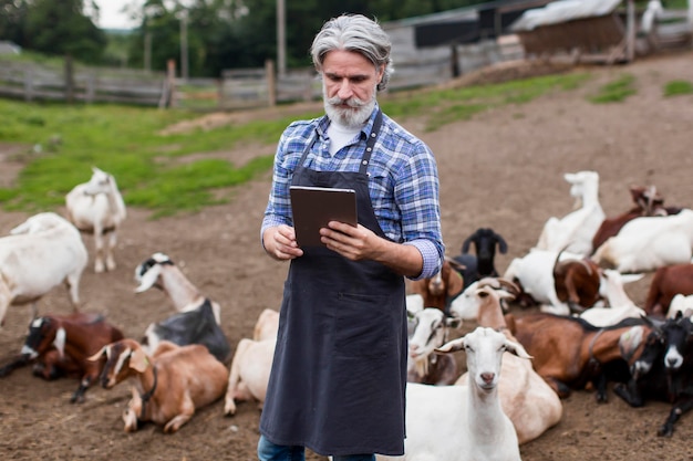 Free photo man at farm looking on tablet