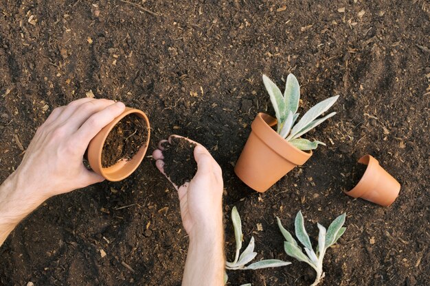 Man filling flowerpots with soil