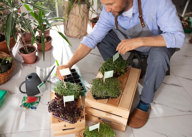 Free Photo man growing and cultivating plants indoors