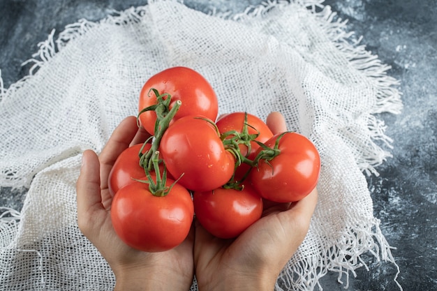 Free photo man hands holding a bunch of tomato on colorful.