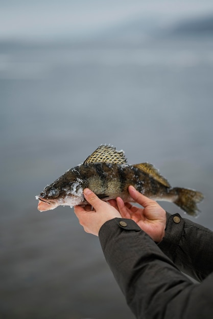 Free photo man holding victoriously the fish he caught