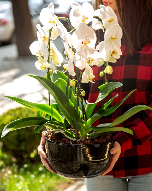 man holding white orchid side view