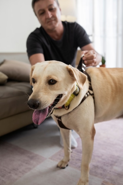 Man at home putting a leash on his dog