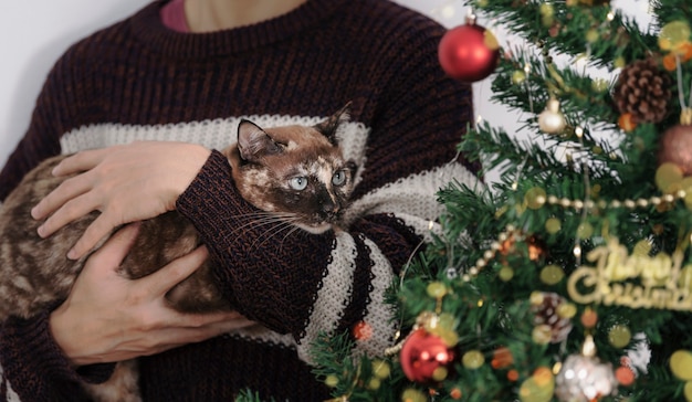 Free photo man hug cat with christmas tree background happy new year and merry christmas