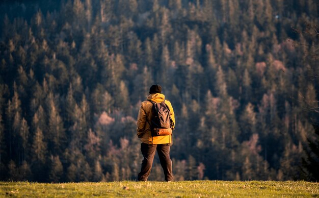 Man is looking at the forest in the middle of the mountain