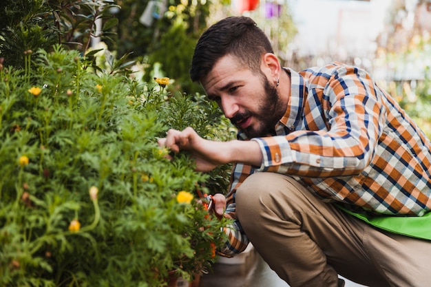 Free Photo man looking after plants in greenhouse