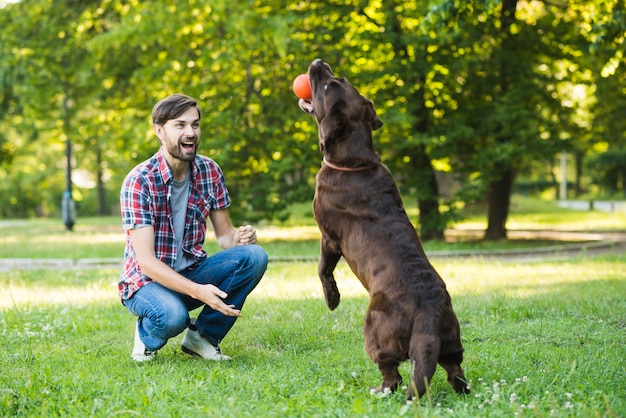 Free photo man looking at his dog holding ball in mouth