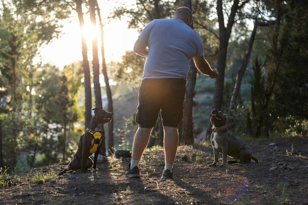 Man outdoors in a dog training session with two dogs