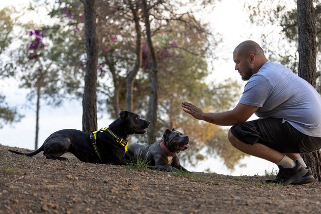 Man outdoors in a dog training session with two dogs