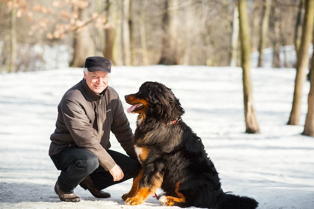 Man plays with a funny Bernese Mountain Dog on the snow in park