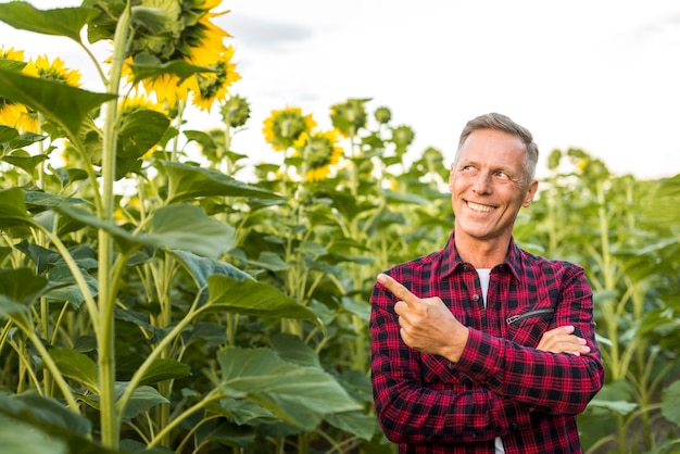 Man pointing at a sunflower