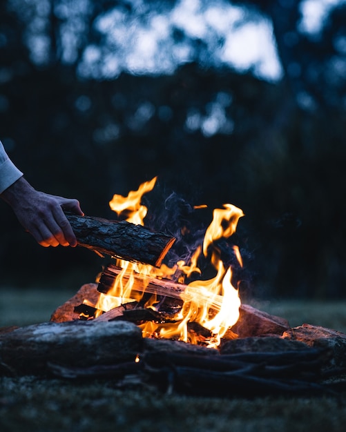 Free Photo man putting a log in a bonfire in the evening