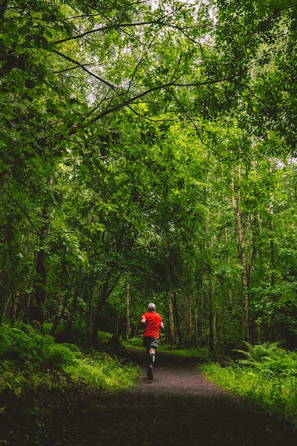 Man running in an alley in the green fresh forest