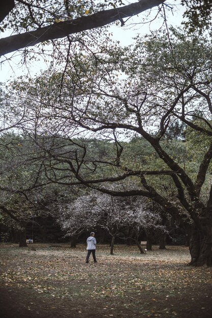 Man standing on ground between trees during daytime