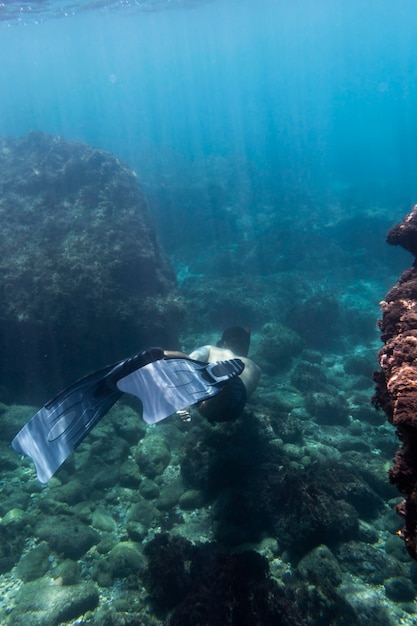 Free Photo man swimming under water