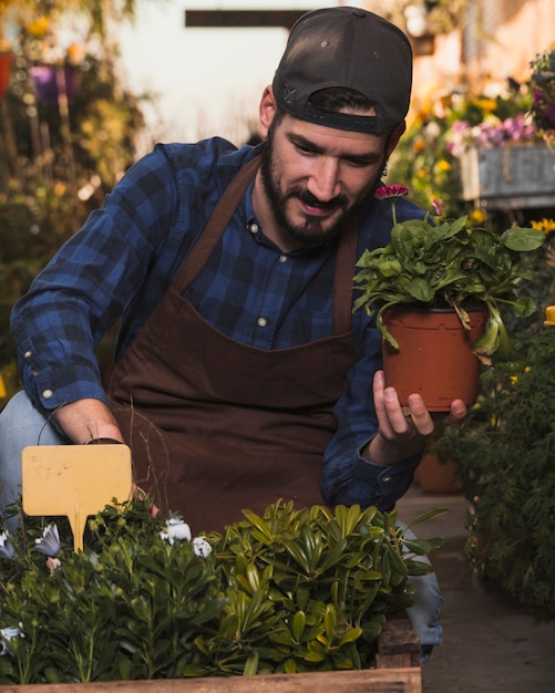 Man taking care of flowers