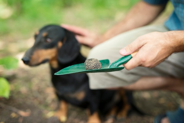 Free Photo man thanking his trained dog for helping him to find truffle mushroom in forest