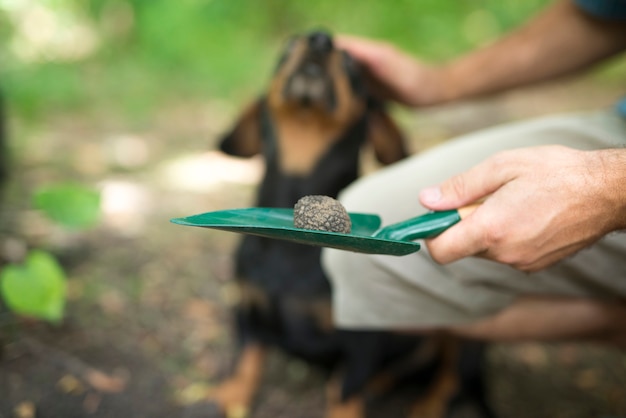 Man thanking his trained dog for helping him to find truffle mushroom in forest