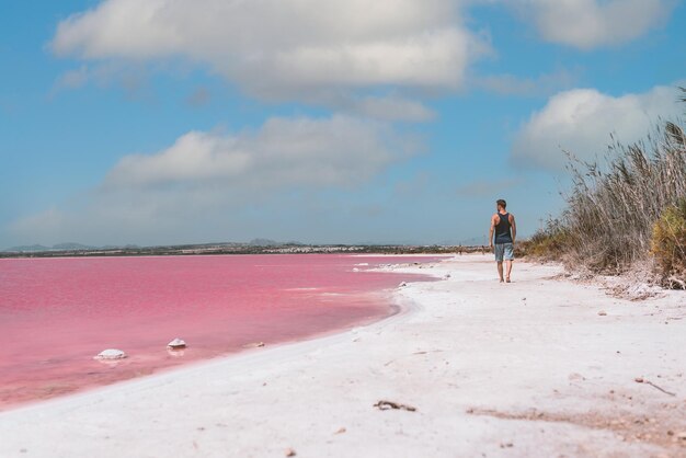 Man walking along beach near pink sea