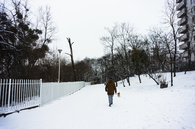 Man walking his dog on snow covered ground during winter