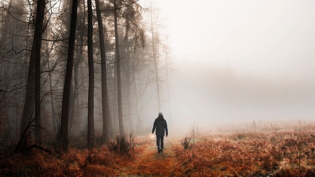 Man walking in a misty woods mobile phone wallpaper