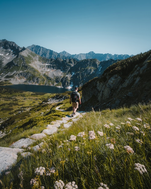 Free photo man walking on a stone pathway surrounded by mountains, plants and a lake