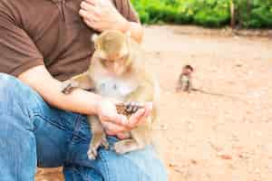 Free photo a man was feeding the monkeys