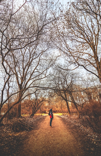 Man with jacket standing in the middle of a path surrounded with dry trees