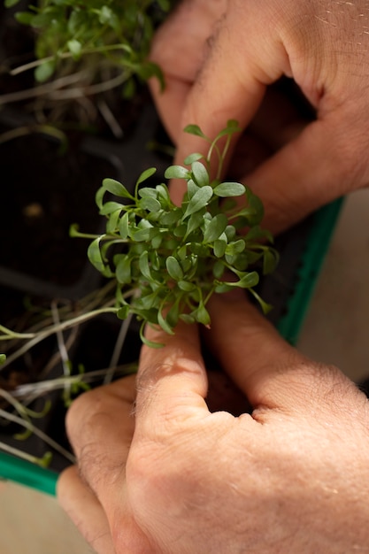 Free photo man with plants that have been cultivated and farmed indoors