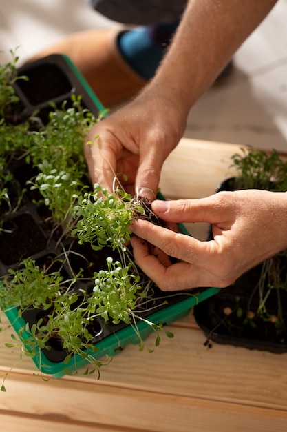 Free photo man with plants that have been cultivated and farmed indoors