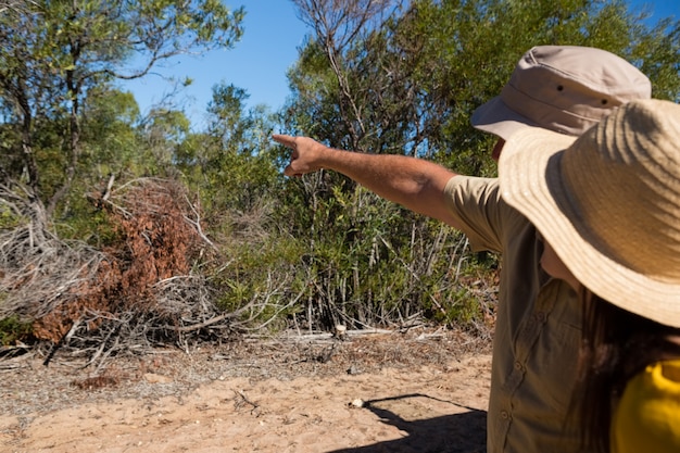 Man with woman pointing at trees