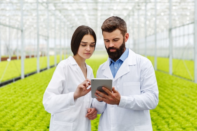 Man and woman work with tablet standing in the greenhouse