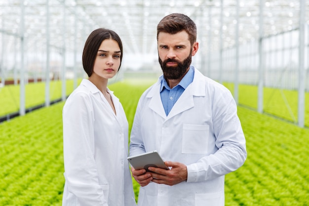 Man and woman work with tablet standing in the greenhouse