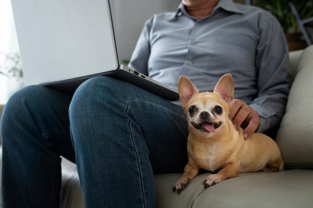 Free Photo man working on laptop at home next to his dog