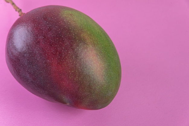 Free photo mango on the pink background