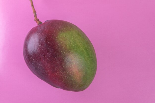 Mango on the pink surface