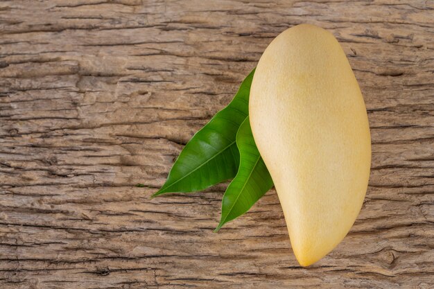 Mango placed on wooden floor.