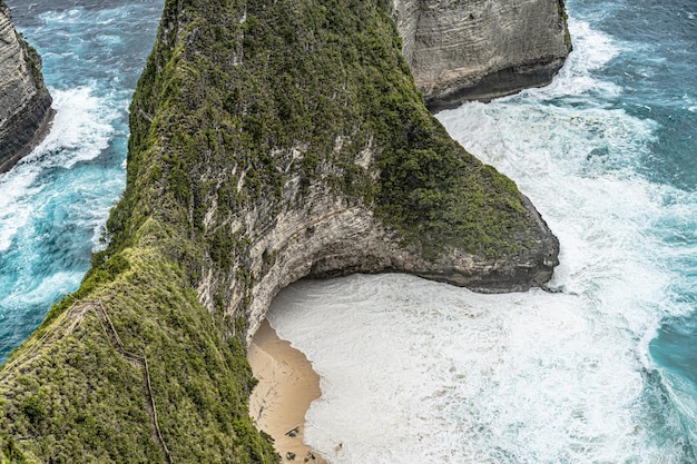 Free Photo manta bay or kelingking beach on nusa penida island, bali, indonesia.