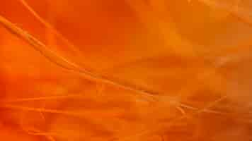 Free photo many abstract orange fibers