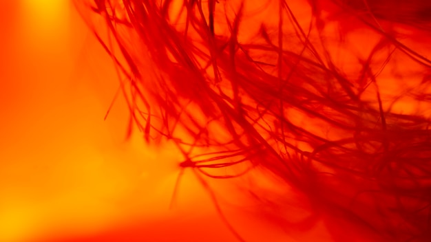 Free photo many abstract red fibers