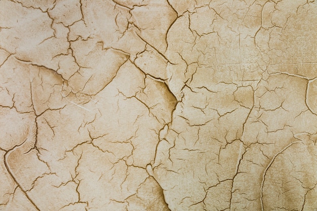 Many cracks in cement wall