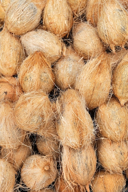 Free Photo many old brown coconuts on a pile